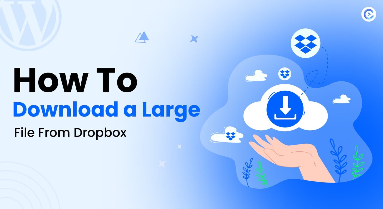 How To Download A Large File From Dropbox