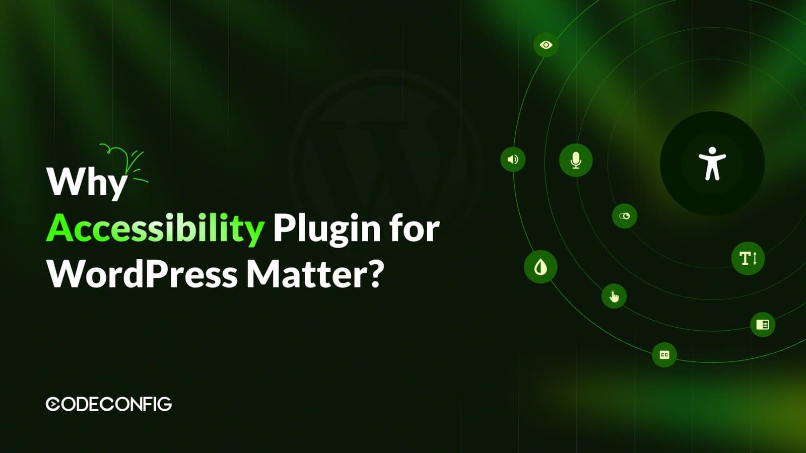 Why Accessibility Plugin for WordPress Matter