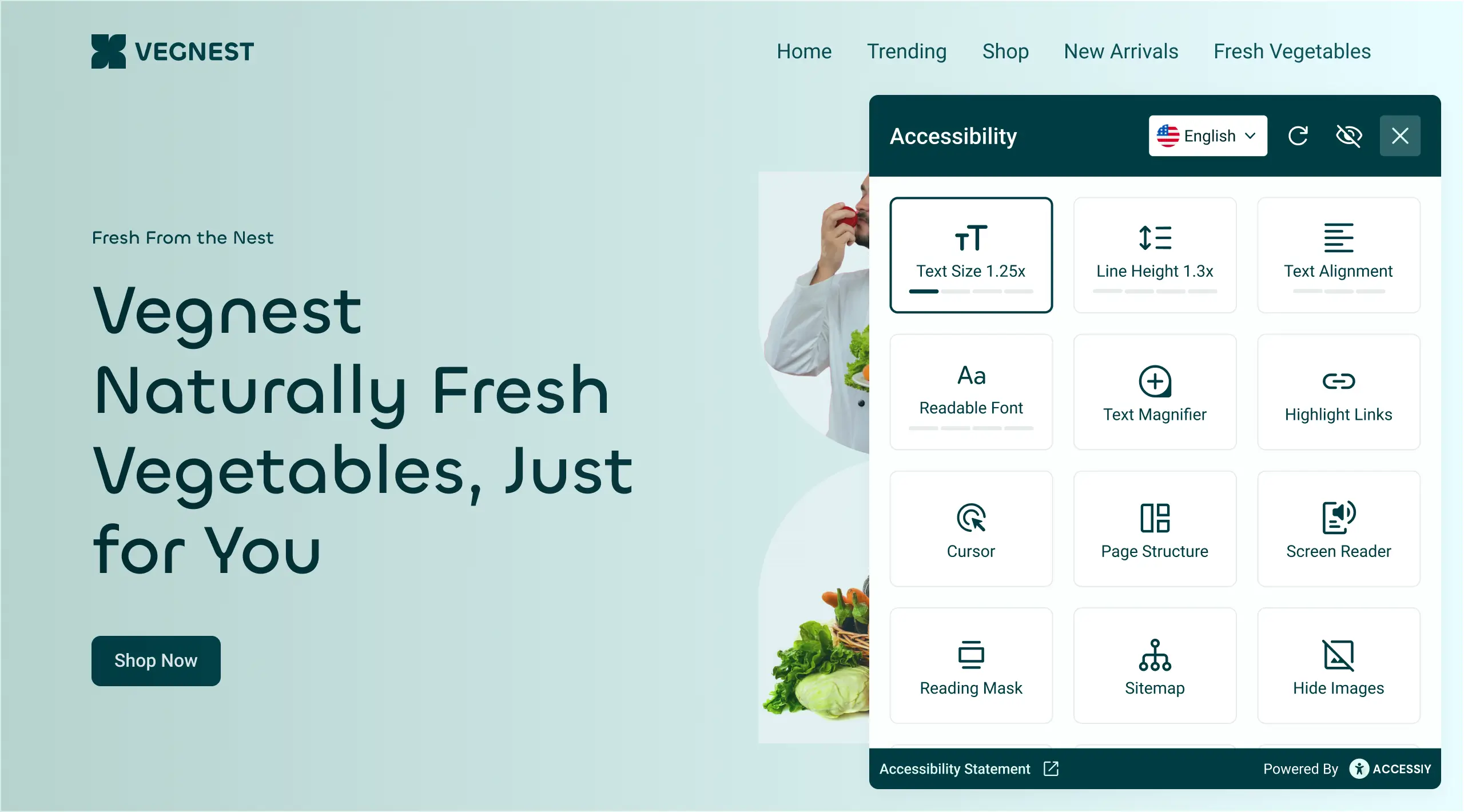 Accessiy — the #1 accessibility plugin for WordPress