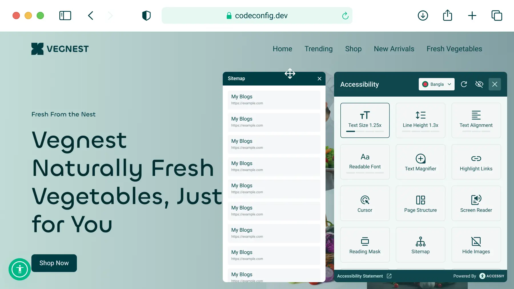 Accessible site map generated by Accessiy