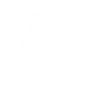 Accessiy accessibility toolbar in use