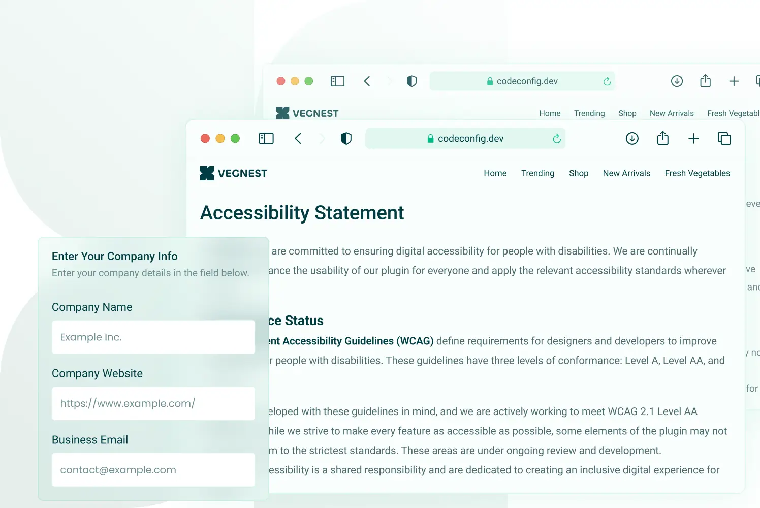 Accessibility statement generator in Accessiy