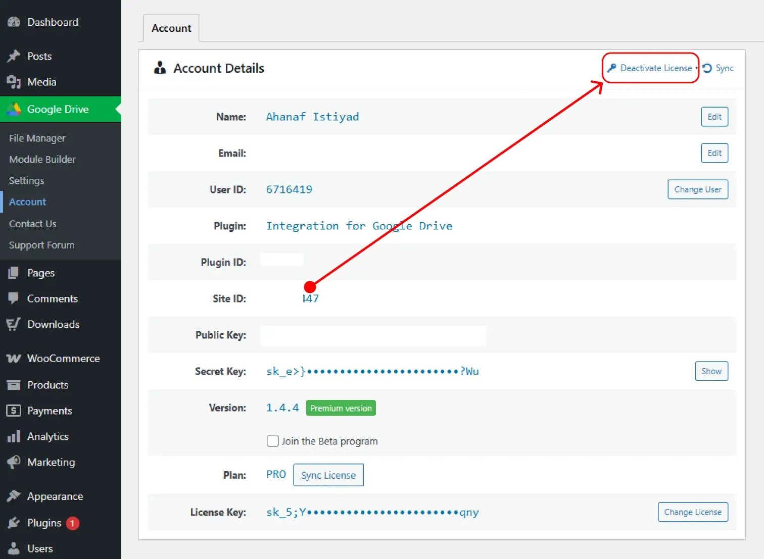 Deactivate-from-the-WordPress-Dashboard