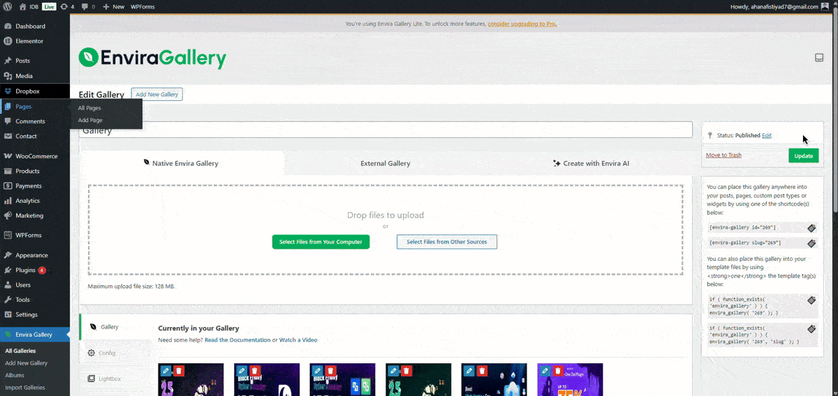 Add Dropbox file In Invira Gallery OutPut