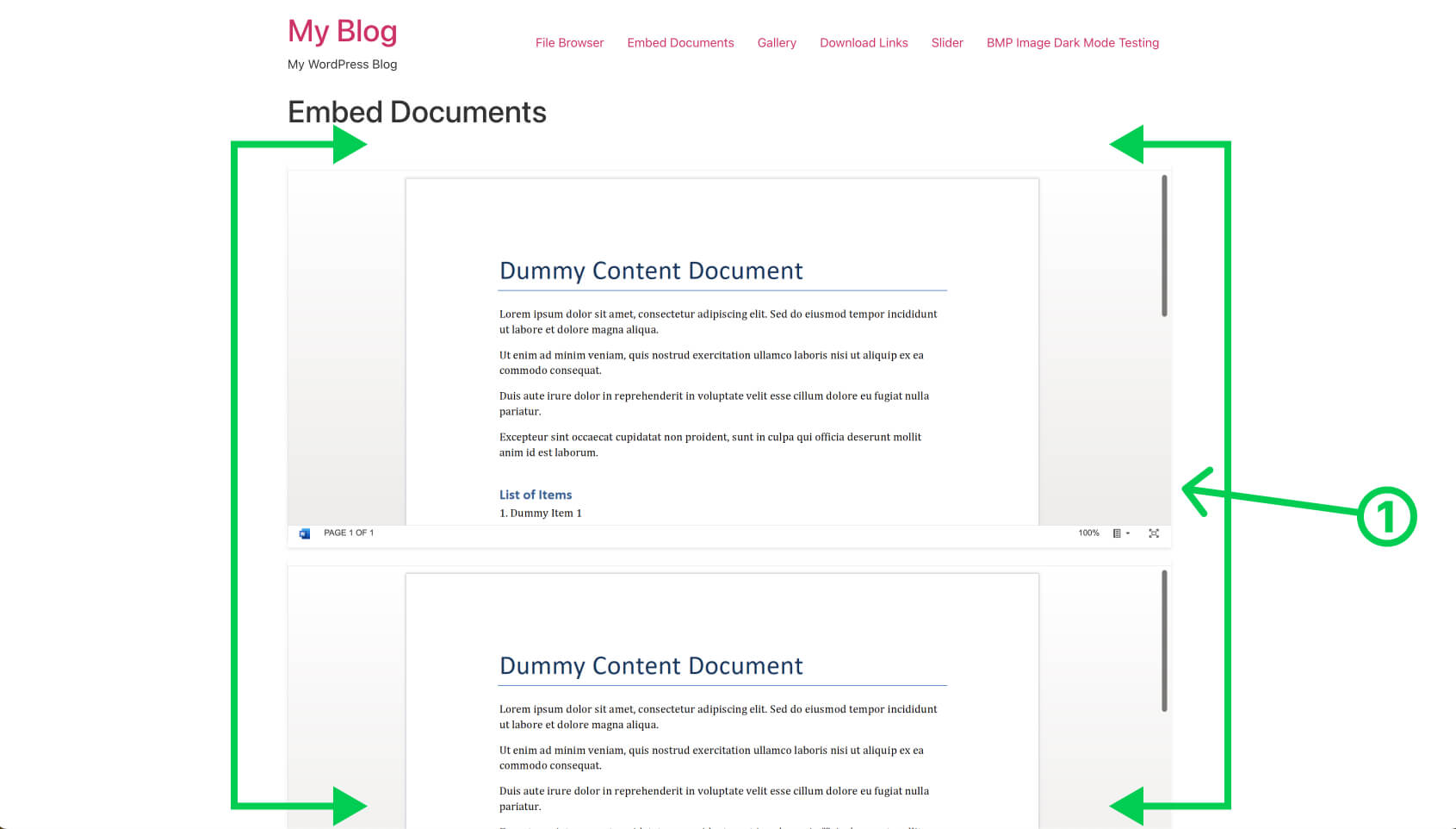 Embed Documents Module Shortcode in Integrate Dropbox - Preview the shortcode result.