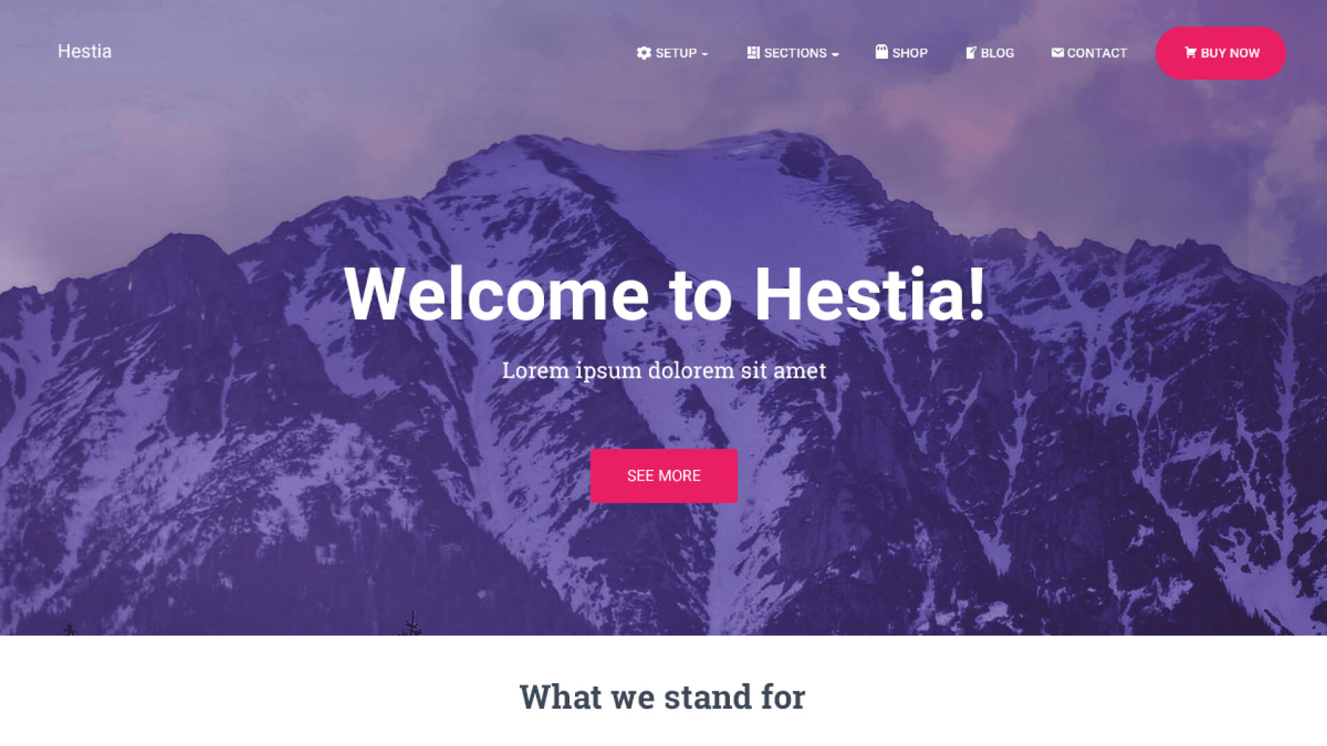 Best WordPress Themes Hestia