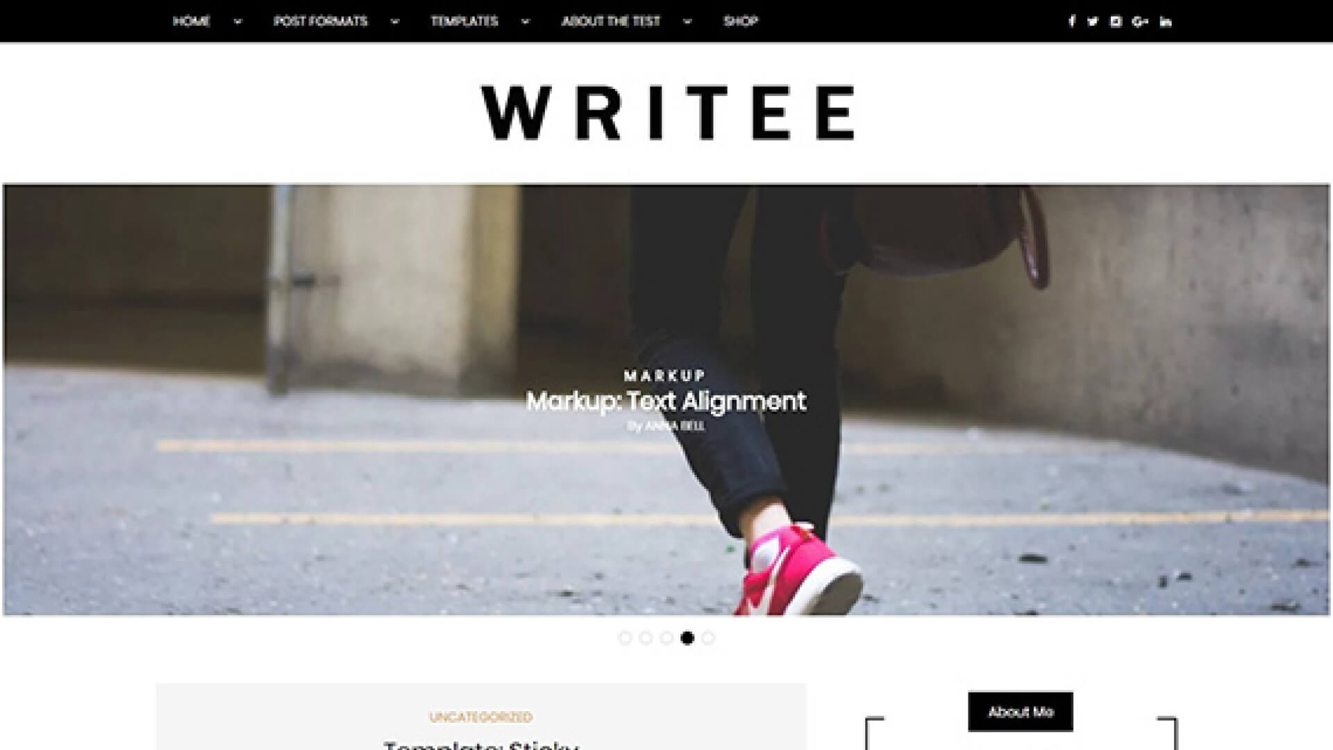 Best WordPress Theme Writee