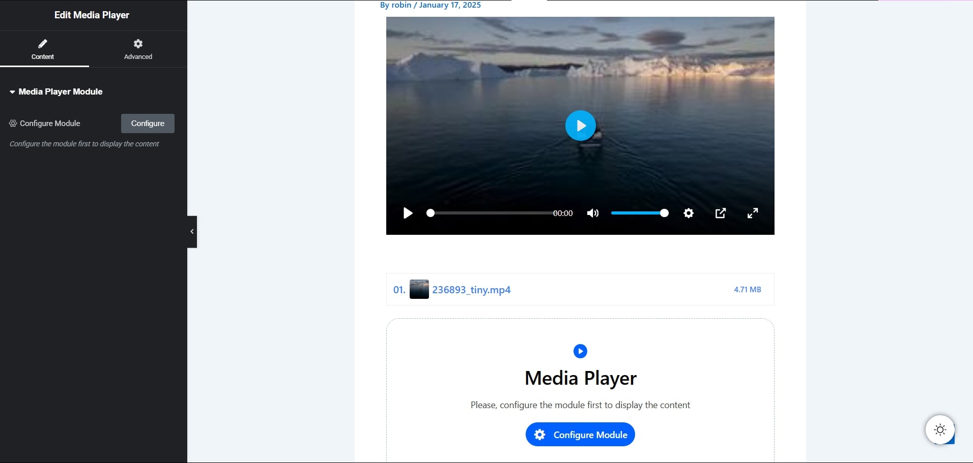 media player module