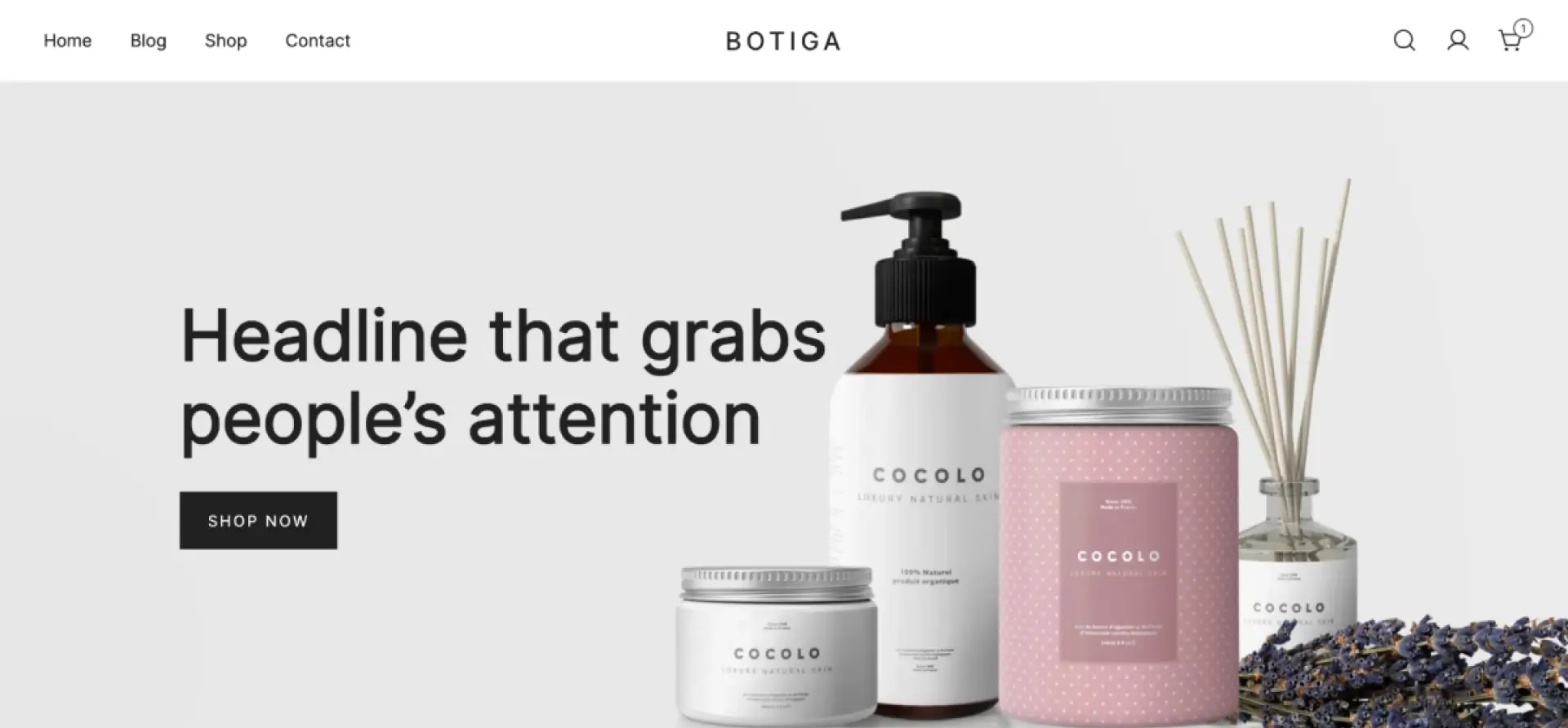 Botiga Theme Banner