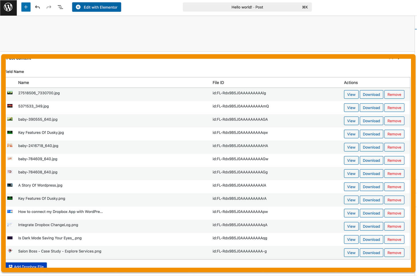 Preview Dropbox Files Using ACF function