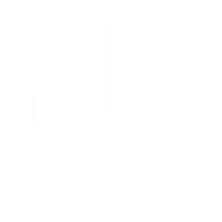 Activated The Plugin