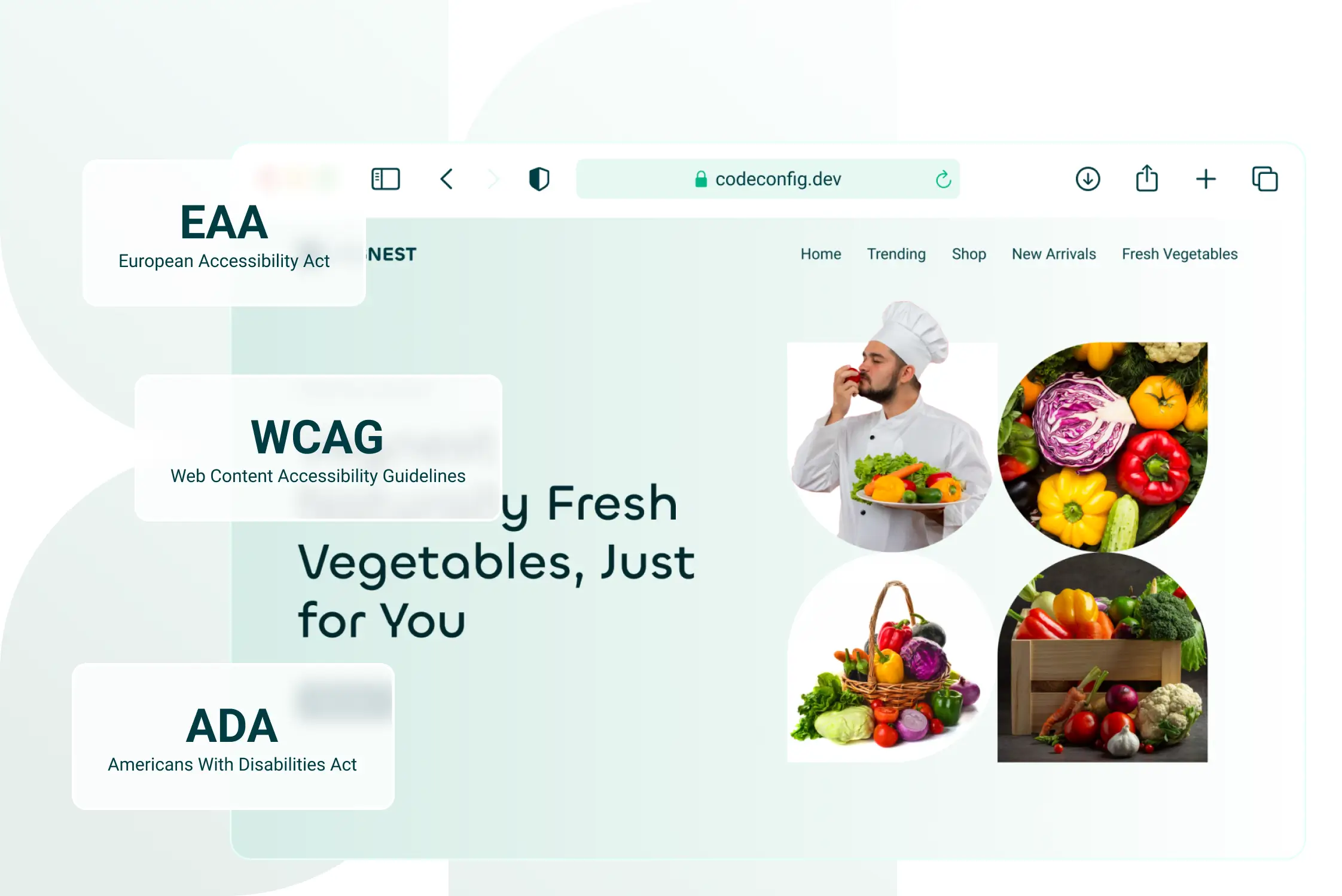 Why Web Accessibility Matters