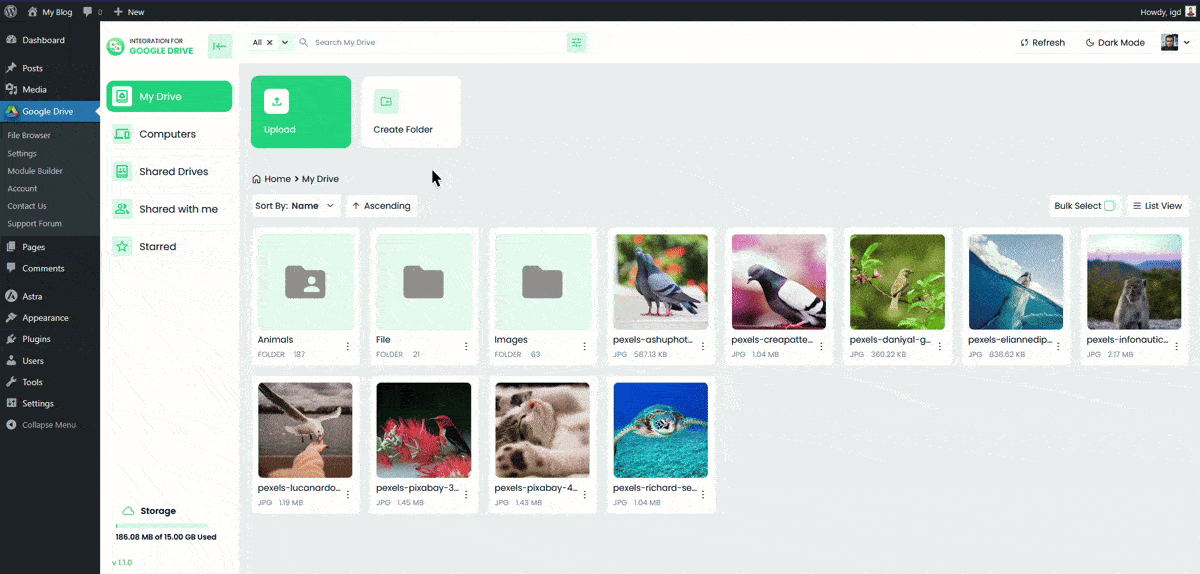 File Browser – Feature Overview Step-1