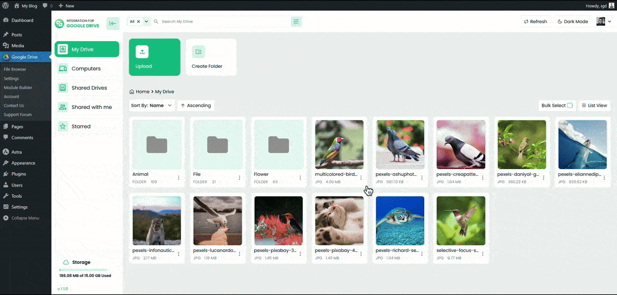 Integration For Google Drive File Share and Protection
