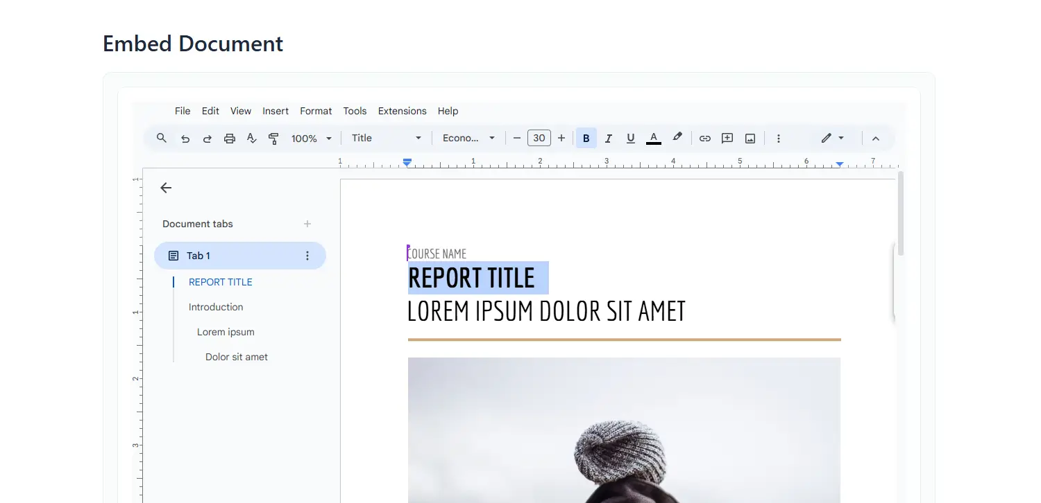 How To Embed Google Drive Documents In WordPress? 6 Choose Google Drive Embed Document Module In WordPress